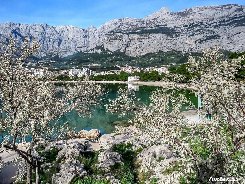 Luxury Apartments Nadalina Sea View Makarska Bagian luar foto